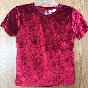 Velvet hollister shirt
